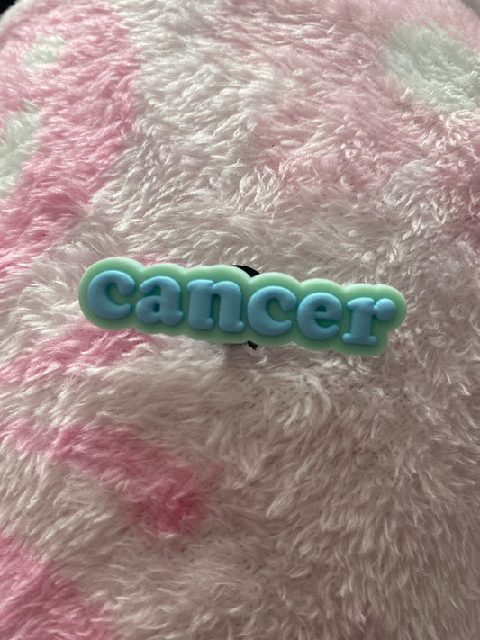 Cancer ♋️ Charm