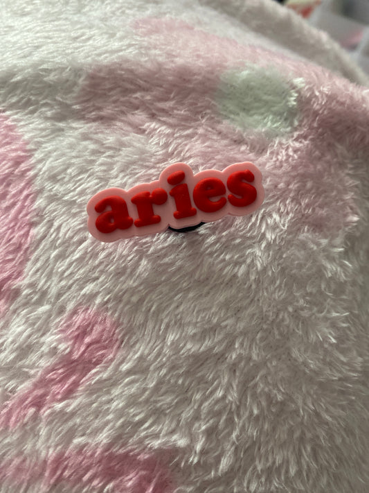 Aries ♈️ Charm