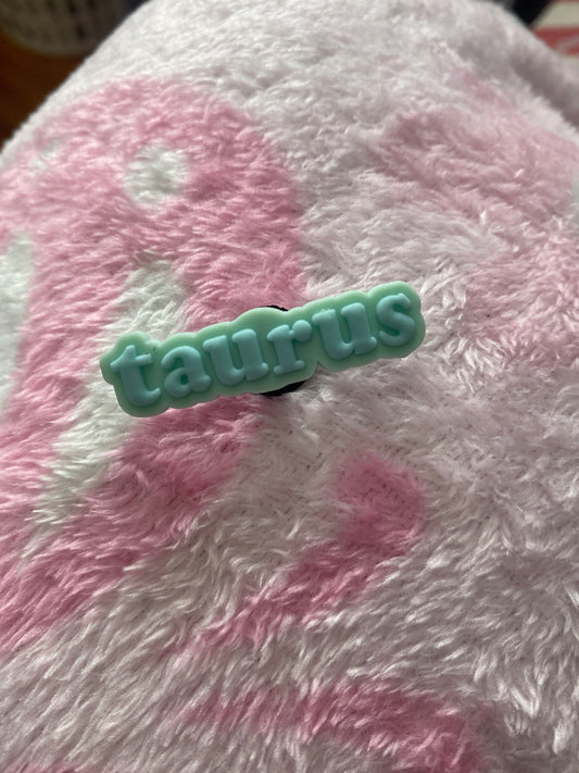 Taurus ♉️ Charm